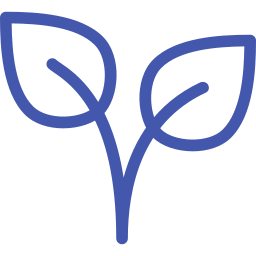 Coroa